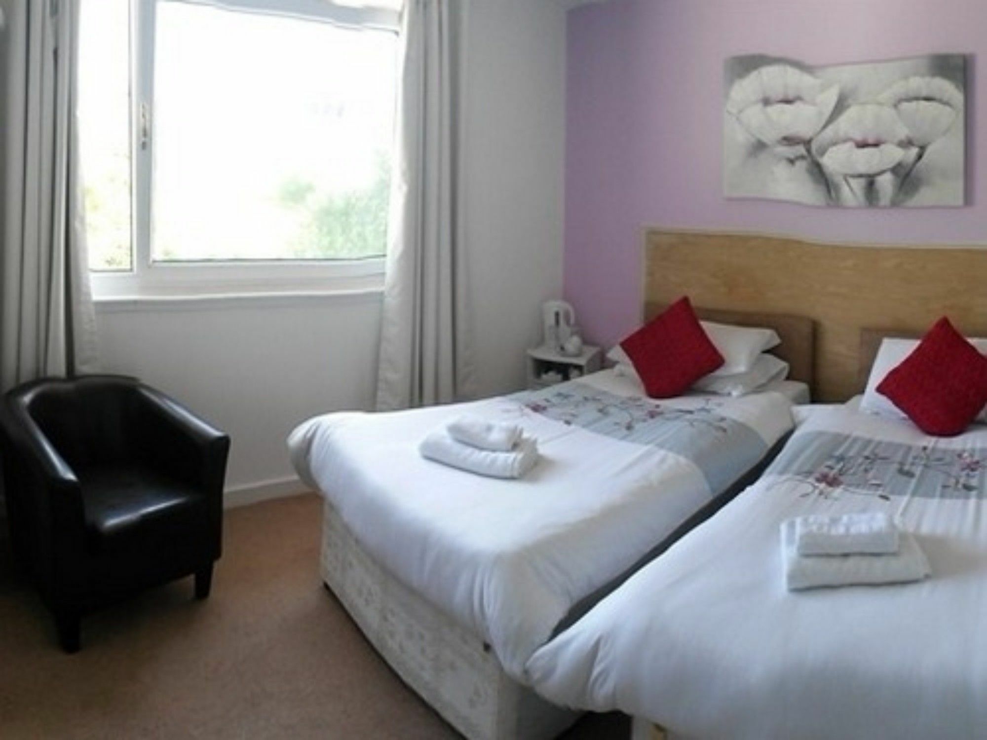 County Hotel Хелънсбърг Екстериор снимка